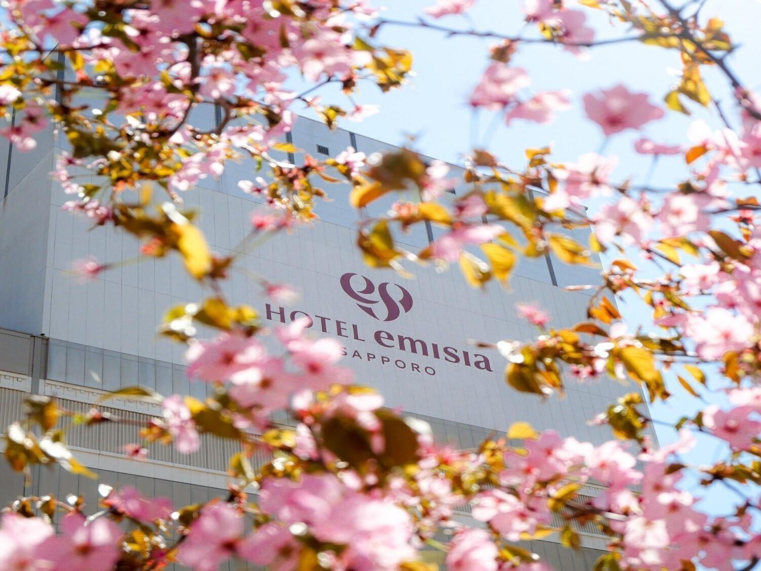 Hotel Emisia Sapporo Exterior foto